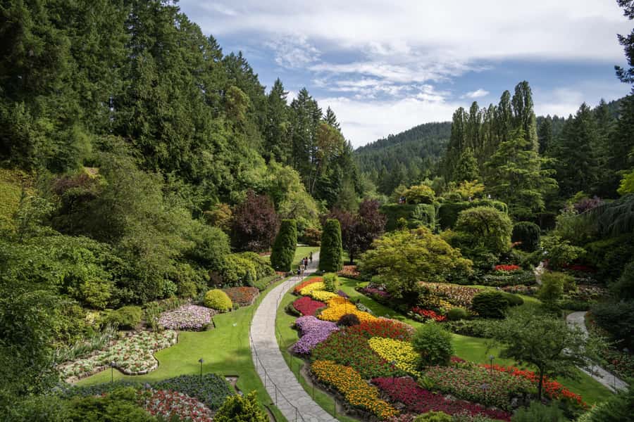 Vancouver to Victoria Seaplane Day Trip + Butchart Gardens - Should you book the Vancouver to Victoria seaplane trip?
