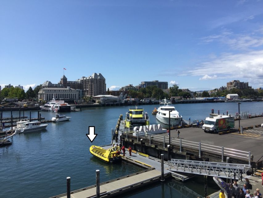 Vancouver: Victoria and Butchart Gardens by Seaplane - Should you book the Victoria seaplane and gardens trip?