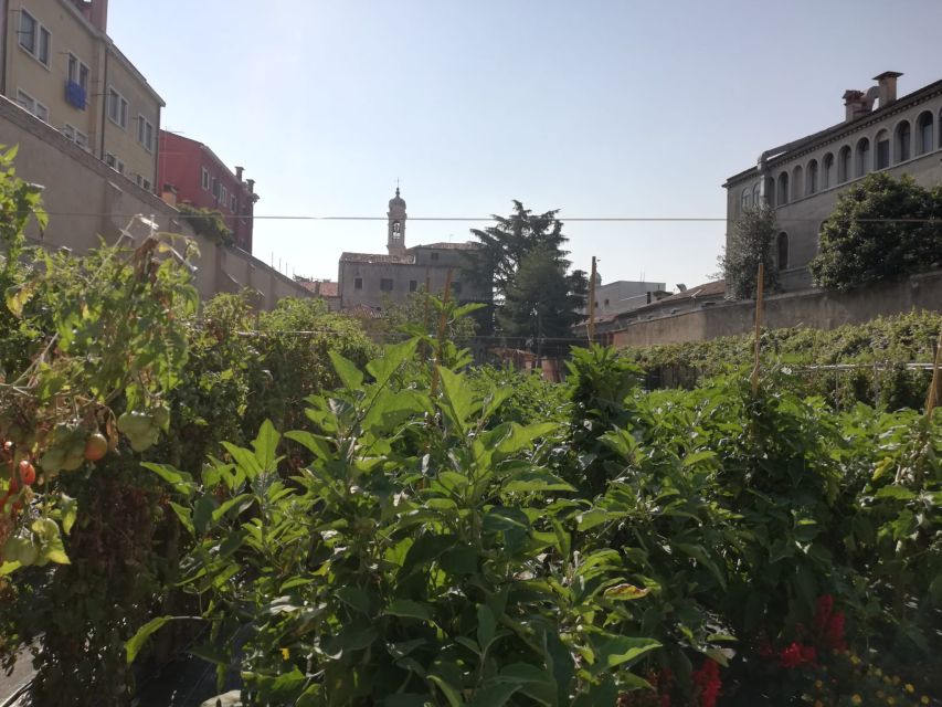 Venice: Secret City Gardens Walking Tour - Key details before you book
