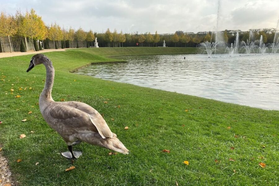 Versailles: Royal Palace & Gardens Private Golf Cart Tour - My verdict