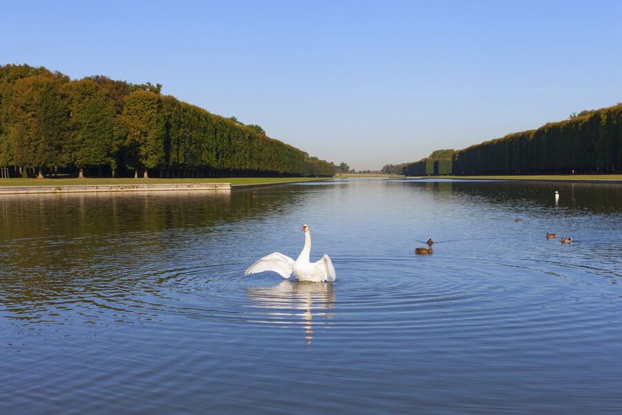 Versailles: Skip-the-Line Guided Tour of Palace with Gardens - Best timing and crowd strategy