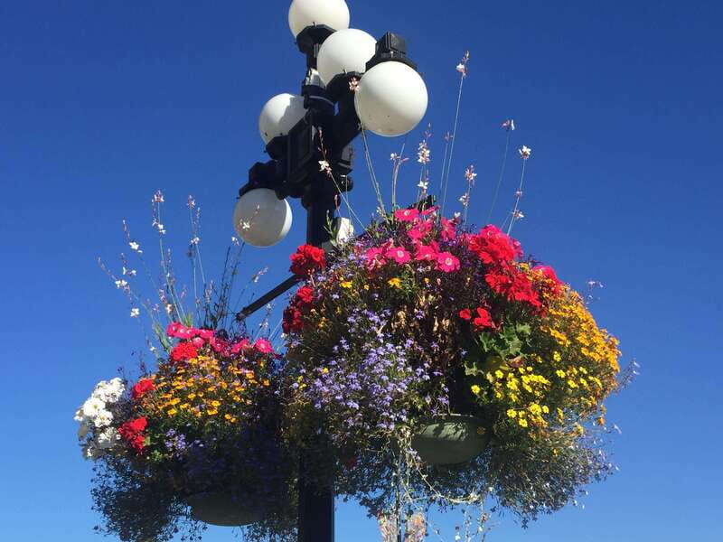 Victoria, BC: City Tour and Butchart Gardens Combo Tour - How much time do you really need in the gardens?
