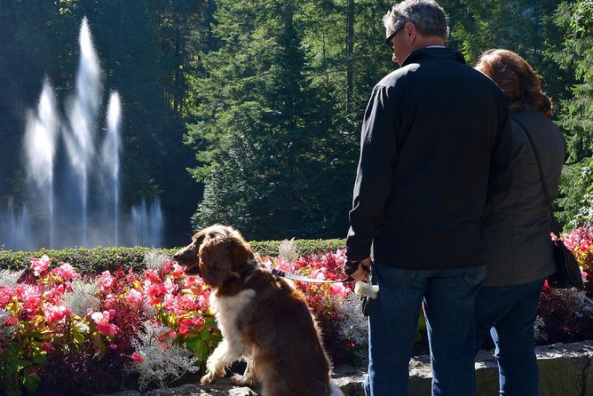 Victoria & Butchart Gardens Tour with Gulf Islands Cruise Ferry - The Gulf Islands ferry crossing