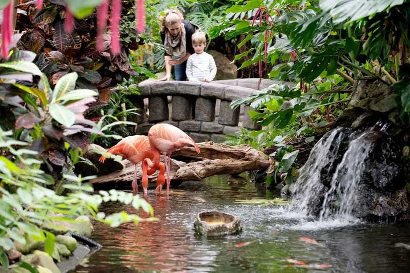 Victoria: Butterfly Gardens Admission Ticket - Who will enjoy this visit most?