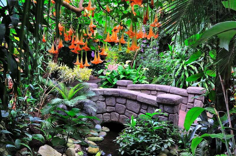 Victoria: Butterfly Gardens Admission Ticket - Walking among 70 butterfly species