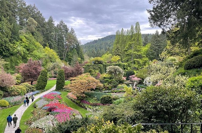 Victoria City and Butchart Gardens Private Tour - Private transport and the value of a local guide