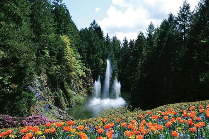 Victoria: City Highlights and Butchart Gardens Tour - Why this half-day tour works well in Victoria