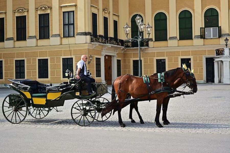Vienna: Carriage Ride Through Schönbrunn Palace Gardens - Key points at a glance