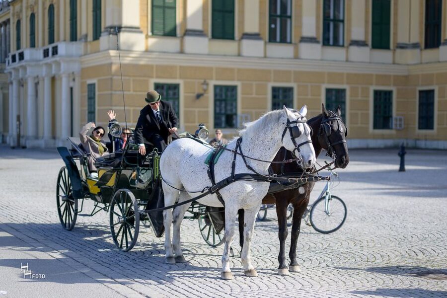 Vienna: Carriage Ride Through Schönbrunn Palace Gardens - The first views of the Baroque garden