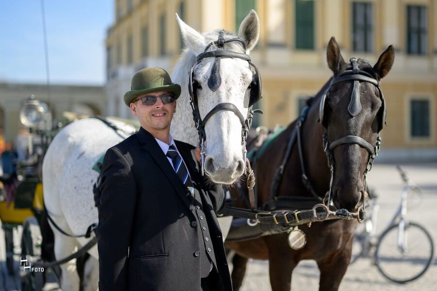 Vienna: Carriage Ride Through Schönbrunn Palace Gardens - Neptune fountain and the Gloriette