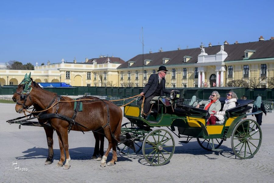 Vienna: Carriage Ride Through Schönbrunn Palace Gardens - Palm House, Obelisk fountain, and Orangerie
