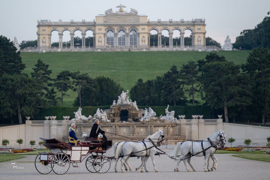 Vienna: Carriage Ride Through Schönbrunn Palace Gardens - What 30 minutes can and cannot do