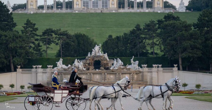 Vienna: Carriage Ride Through Schönbrunn Palace Gardens - Price, group size, and value