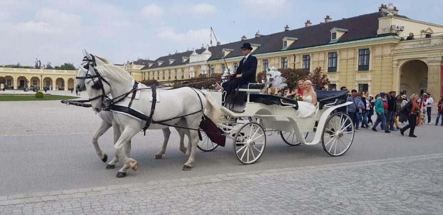 Vienna: Carriage Ride Through Schönbrunn Palace Gardens - Meeting in front of the palace