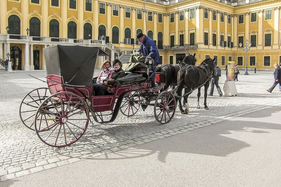 Vienna: Schönbrunn Palace & Gardens Skip-the-Line Tour - Languages, timing, and comfort
