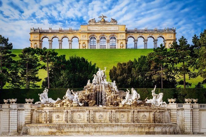 Vienna: Skip the Line Schönbrunn Palace and Gardens Guided Tour - Morning or afternoon: choosing your timing