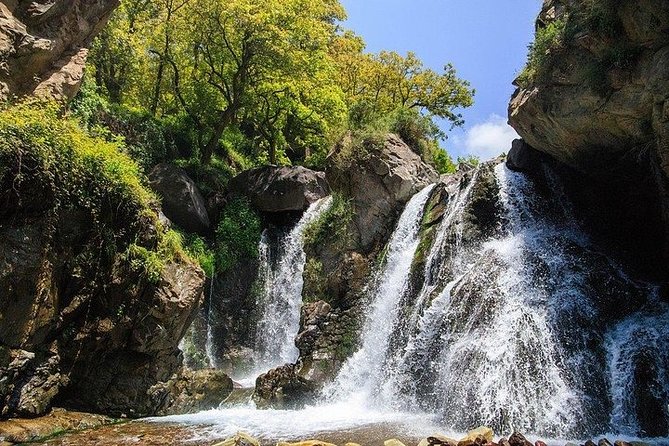 Visit Magical Anima Garden and Imlil Valley Guided Day Trip From Marrakech - Who should book this experience?