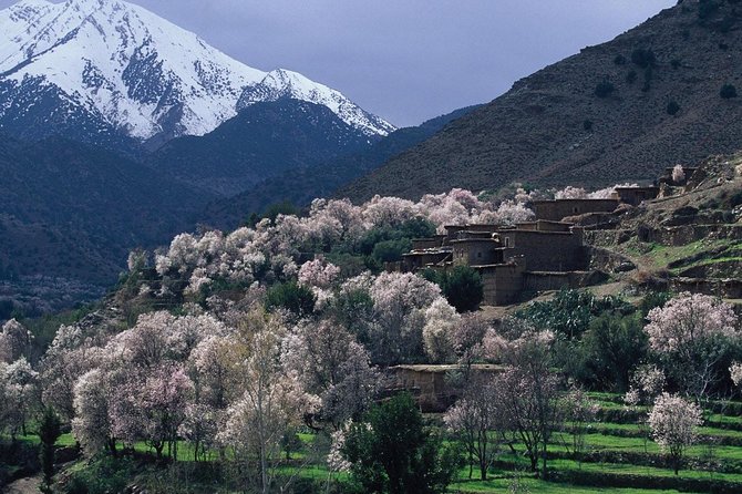Visit the Magical Anima Gardens & Ourika Valley - Berber culture in a short private visit