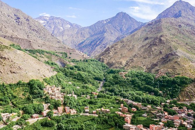 Visit the Magical Anima Gardens & Ourika Valley - Booking, weather, and cancellation advice
