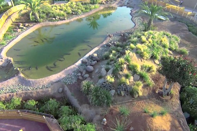 Visite the Crocodiles Park and Botanic garden - The 10:00 am pickup keeps the morning easy