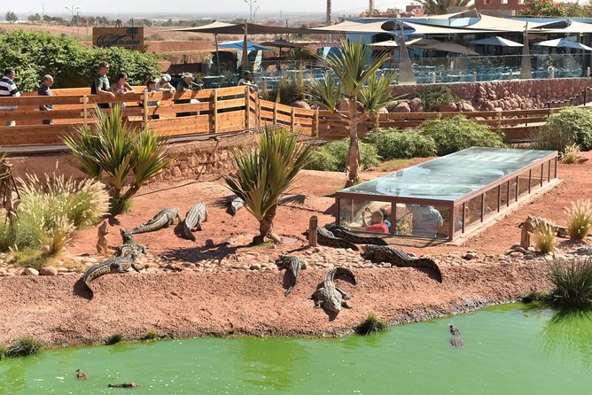 Visite the Crocodiles Park and Botanic garden - More than 300 Nile crocodiles give the park its focus