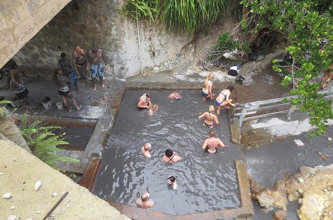 Volcanic Tour and Botanical Gardens - Diamond Falls Botanical Gardens shows St Lucia’s softer side