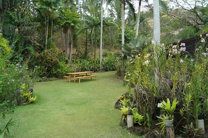 Vuda Lookout, Vesisei Village, Market, Temple & Garden of Sleeping Giant Tour - Why This Half-Day Route Works