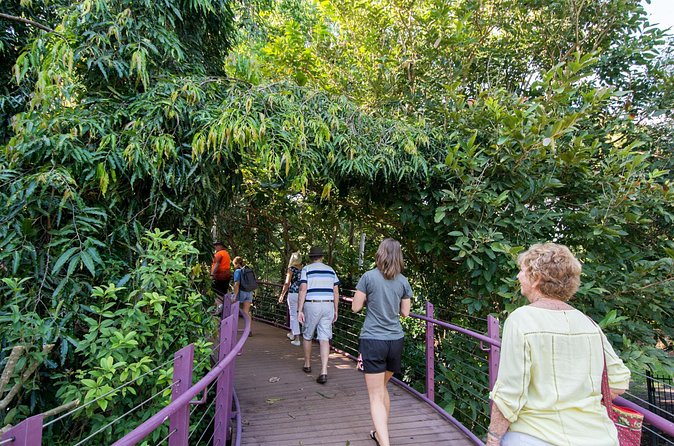 Walk the Darwin Botanic Gardens - What the two-hour route feels like