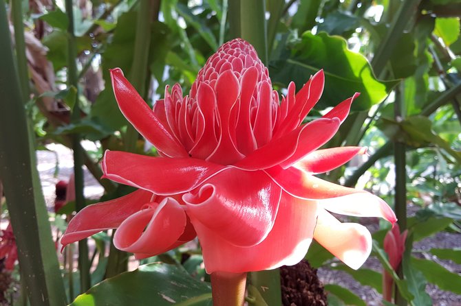Walk the Darwin Botanic Gardens - Weather, clothing, and comfort in Darwin