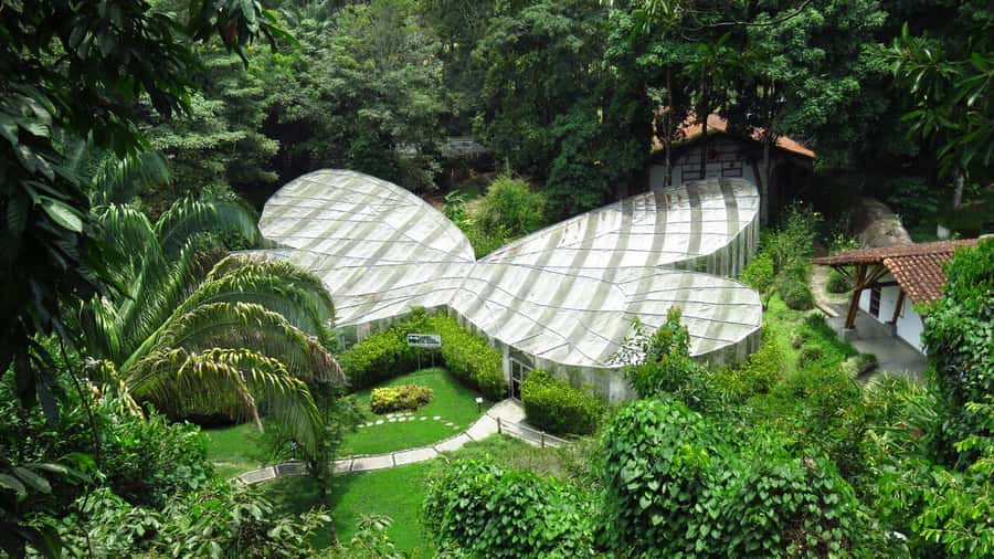 Walking tour José Celestino Mutis Botanical Garden 3 hrs - Key points at a glance