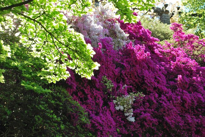 Walking tour with a private tour guide in the botanical gardens of Villa Taranto - What the guide adds to the visit