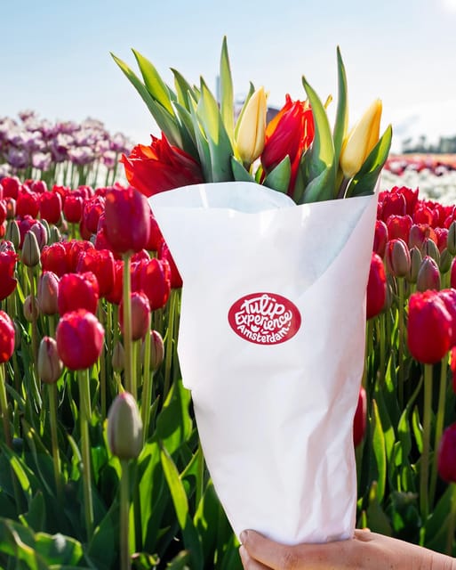 Warmond: Kagerplassen Cruise with "Tulip Experience" Ticket - The practical split between Warmond and Noordwijkerhout