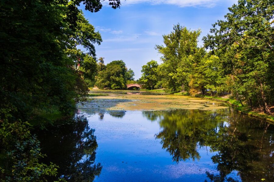 Warsaw Private Wilanow Palace & Garden Tour - Practical advice before you book