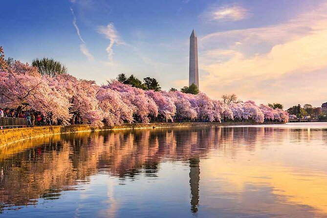 Washington D.C. Cherry Blossom,Baltimore 3-Day Tour from Boston - Key points to know before booking