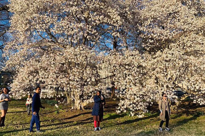 Washington D.C. Cherry Blossom,Baltimore 3-Day Tour from Boston - Hotels, rooms, and practical comfort