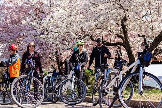 Washington DC Cherry Blossoms By Bike Tour - What this two-hour ride actually offers