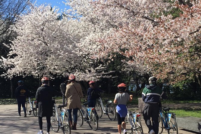 Washington DC Cherry Blossoms By Bike Tour - FDR Memorial and the Pagoda beside the water