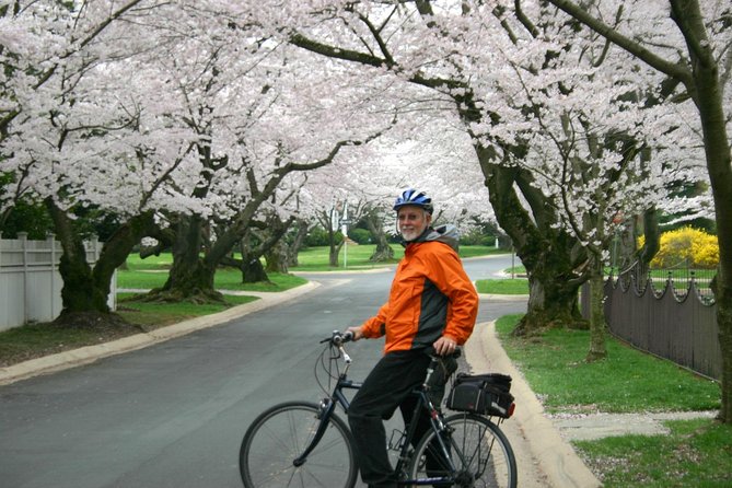 Washington DC Cherry Blossoms By Bike Tour - MLK Memorial and the Mountain of Despair
