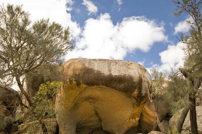 Wave Rock, York and Aboriginal Cultural Day Tour from Perth - Why this day trip works for Perth visitors