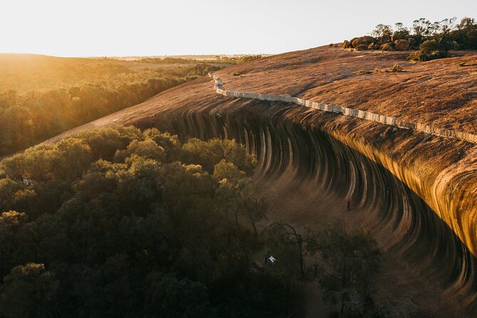 Wave Rock, York and Aboriginal Cultural Day Tour from Perth - Wildflowers between September and November