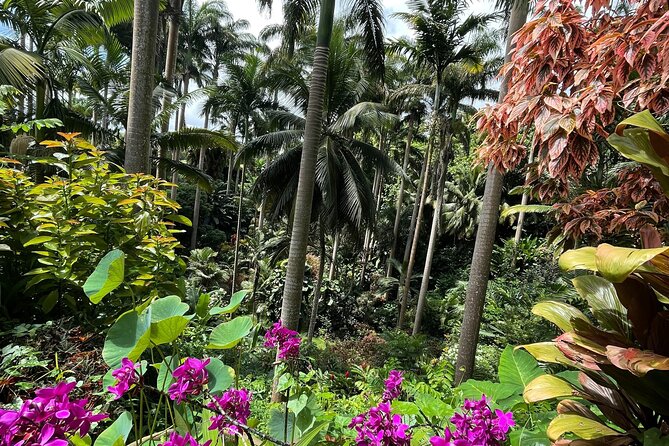 Welchman Hall Gully, Hunte’s Garden and Peg Farm Family Day - A private minivan makes the day easier