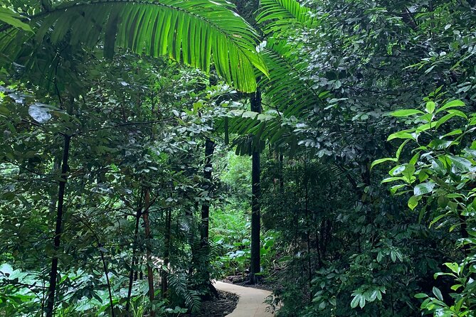 Welchman Hall Gully, Hunte’s Garden and Peg Farm Family Day - Who will enjoy this Barbados nature day?