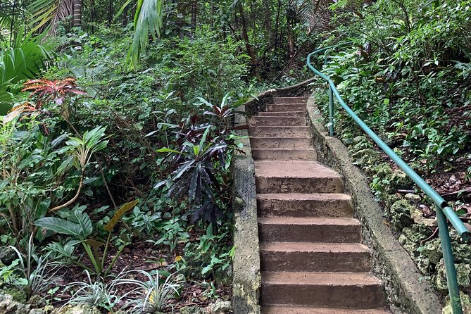 Welchman Hall Gully, Hunte’s Garden and Peg Farm Family Day - Welchman Hall Gully: Barbados rainforest under shade