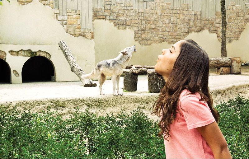 Williamsburg: Busch Gardens Ticket & Water Country Option - The European villages and what they add