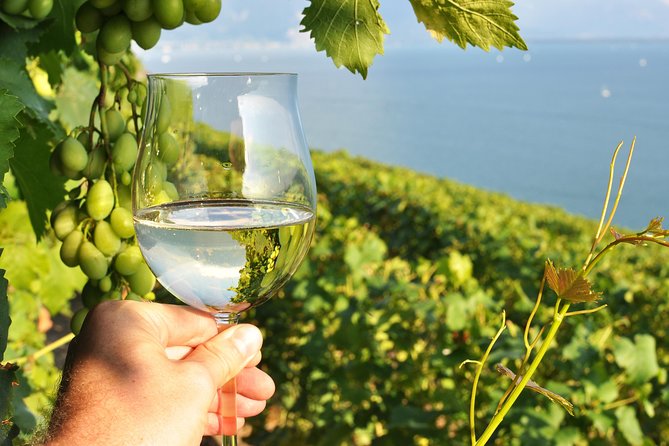 Wine Tasting and lavender Farm Tours - Key points at a glance