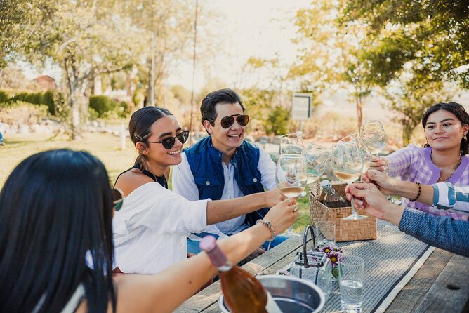 Wine tasting in private gardens overlooking the vineyards - Starting at Rondo del Valle in San Antonio de las Minas