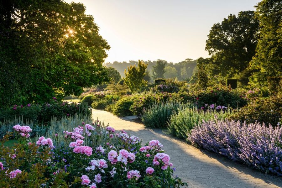 Woking: Royal Horticultural Society Wisley Garden Ticket - The World Food Garden and Wellbeing Garden