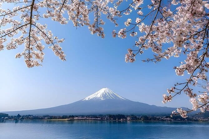 Wonderful Peaks & Peace: Mt. Fuji, Fuji Stupa & Hakone Tour - Key things to know before booking