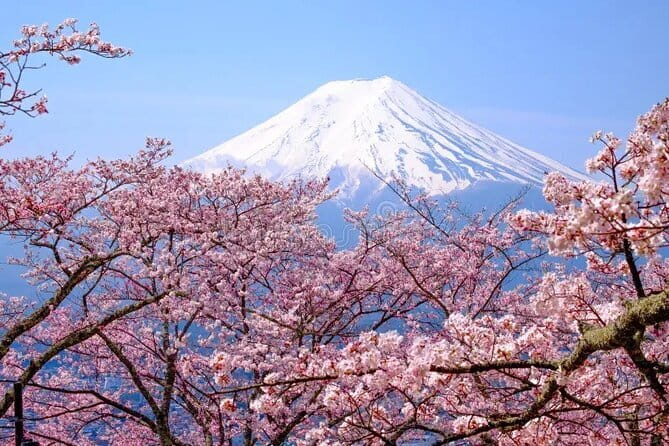 Wonderful Peaks & Peace: Mt. Fuji, Fuji Stupa & Hakone Tour - A private Fuji day instead of a transport puzzle