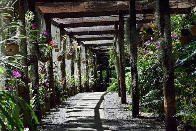 Wonders of Nadi Tour - Hindu Temple, Sleeping Giant Gardens, Markets & Shopping - Who should book this experience?